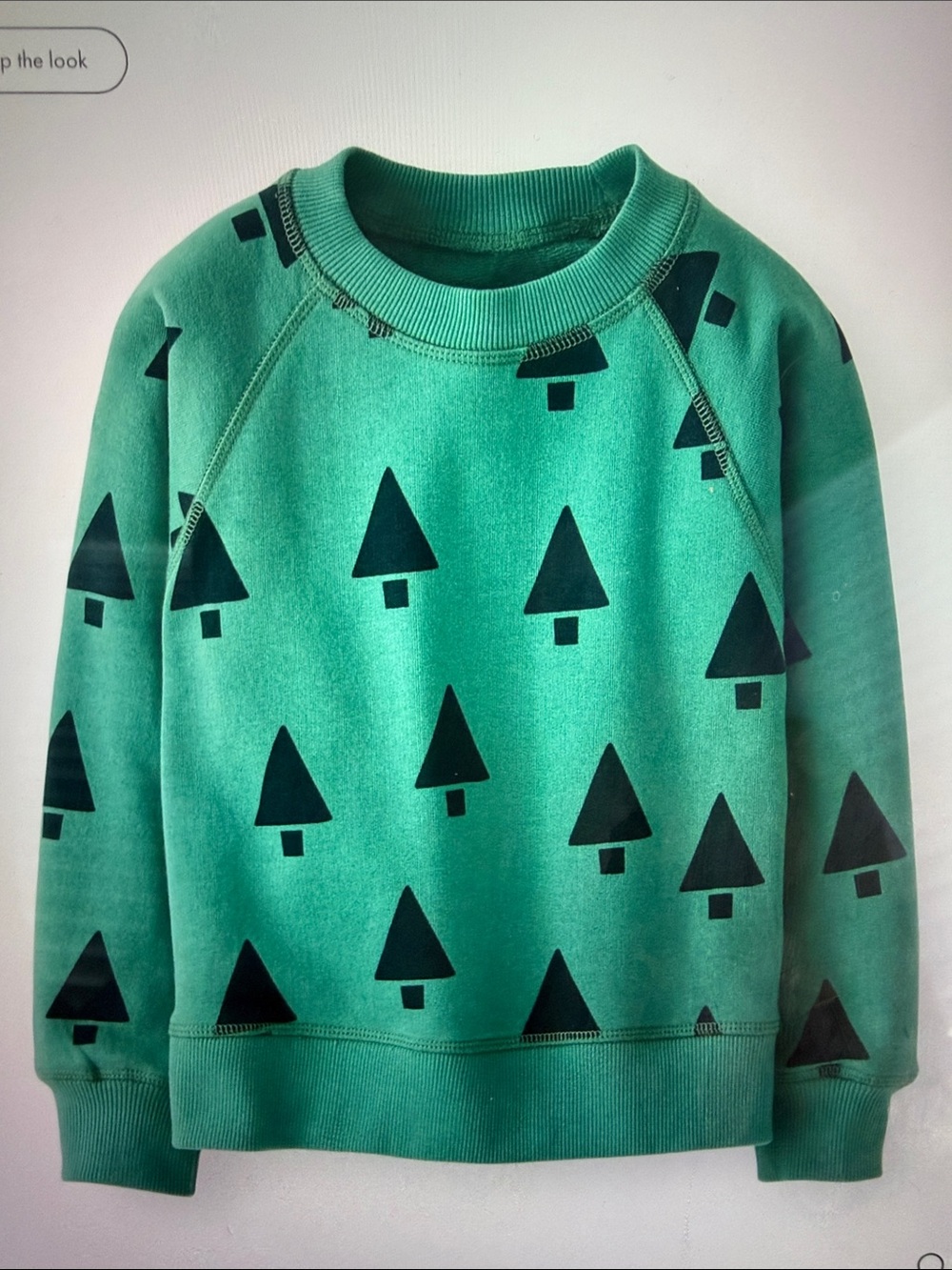 Hanna Andersson Holiday French Terry Sweatshirt, 10